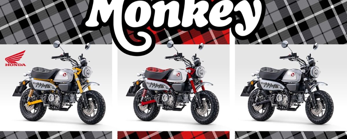 23YM HONDA MONKEY