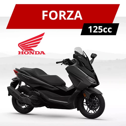 FORZA